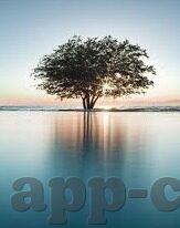 炸金花App-炸金花App，娱乐与风险并存的数字游戏